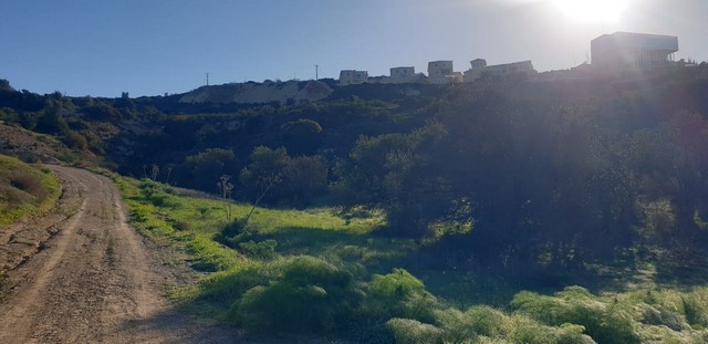 Residential Field on Agios  Tychonas