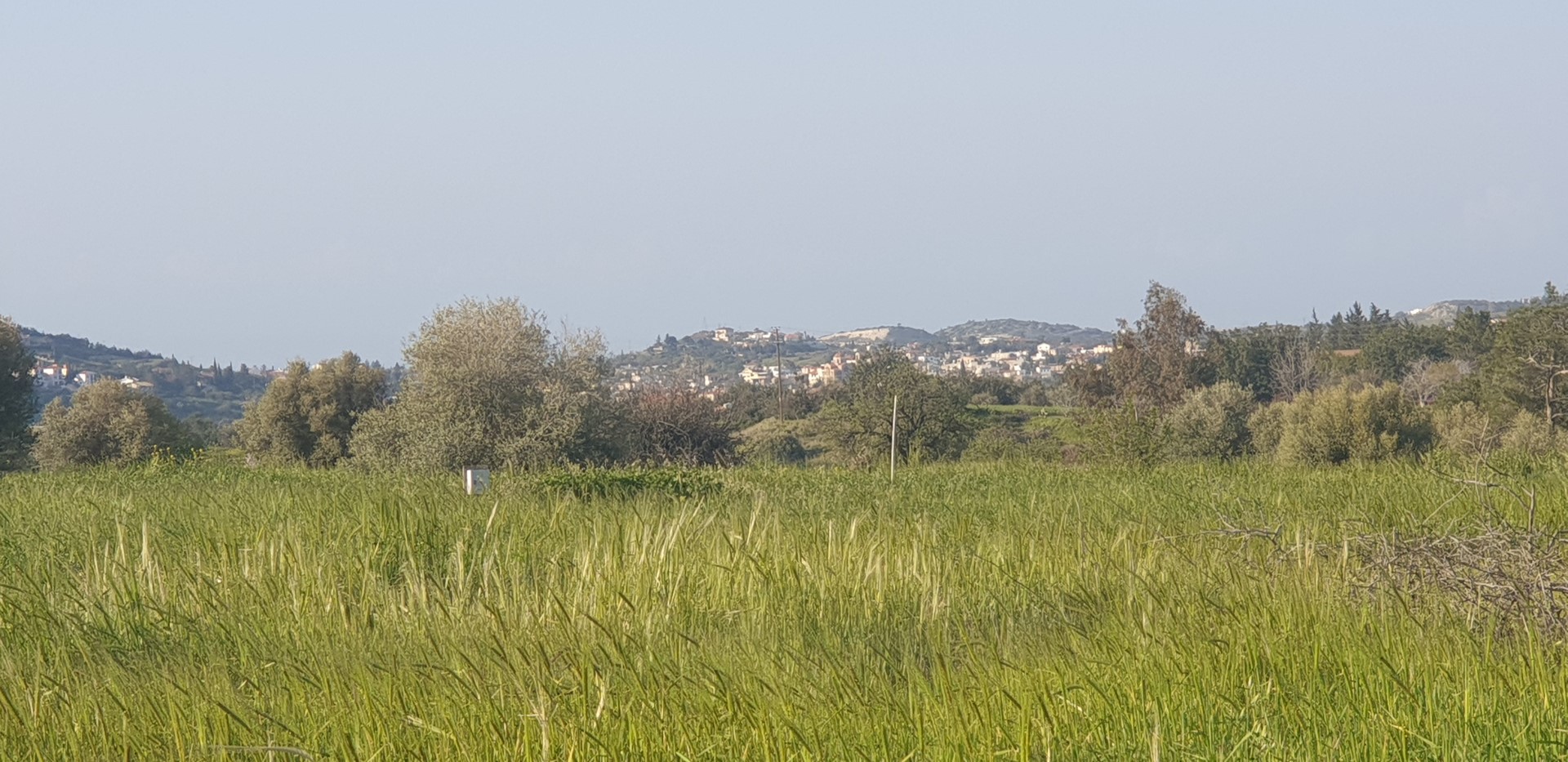 Agriculture field at Parekklishia