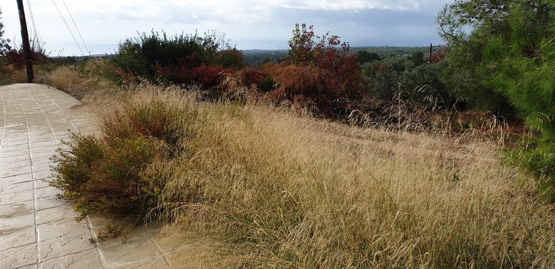 Plot at SOUNI ZANAKIA