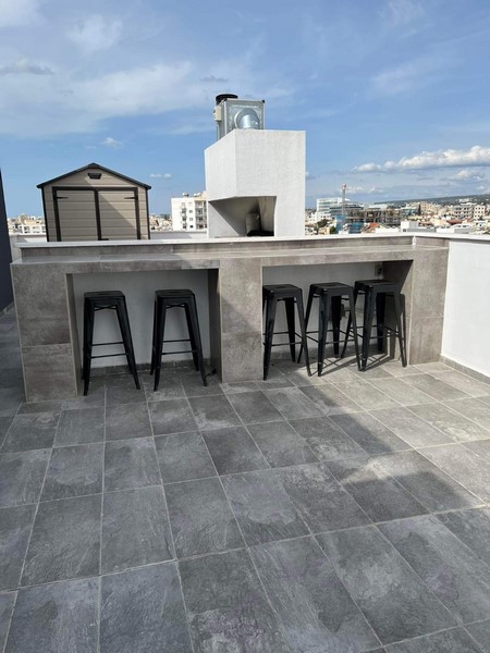 luxurious flat with roof garden
