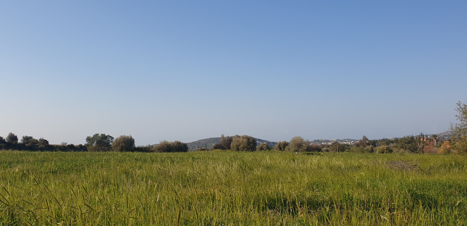 Agriculture field at Parekklishia