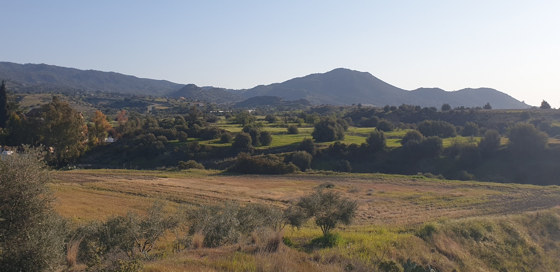 Agriculture field at Parekklishia